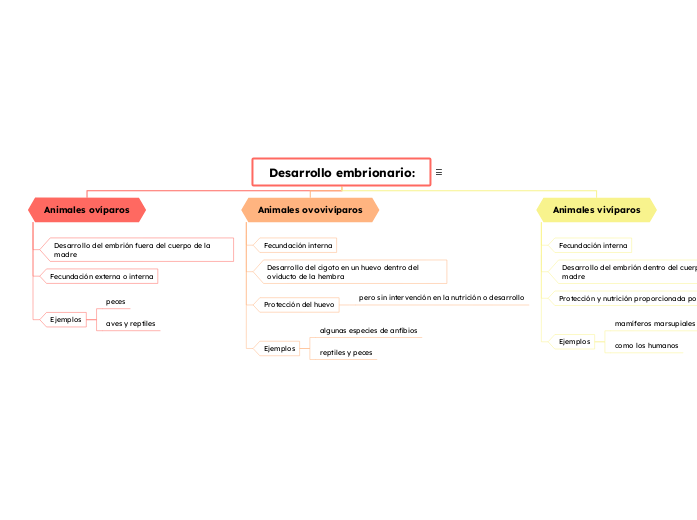 Desarrollo embrionario: