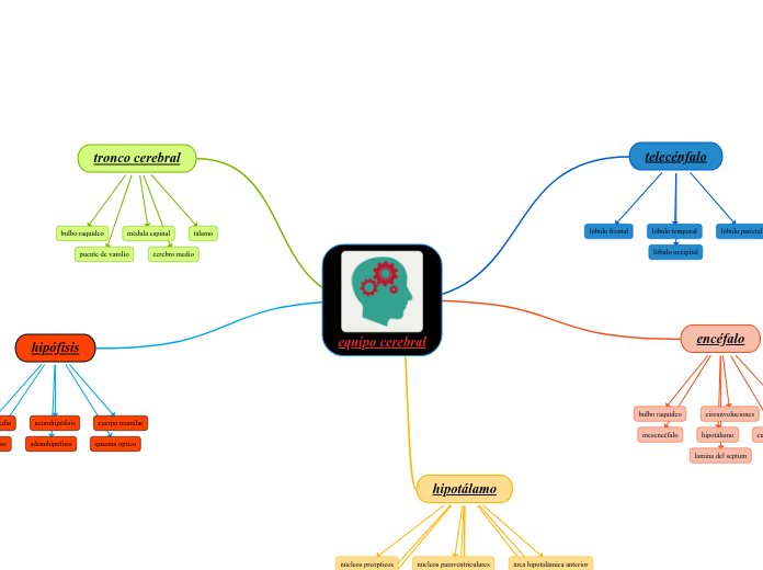 equipo cerebral