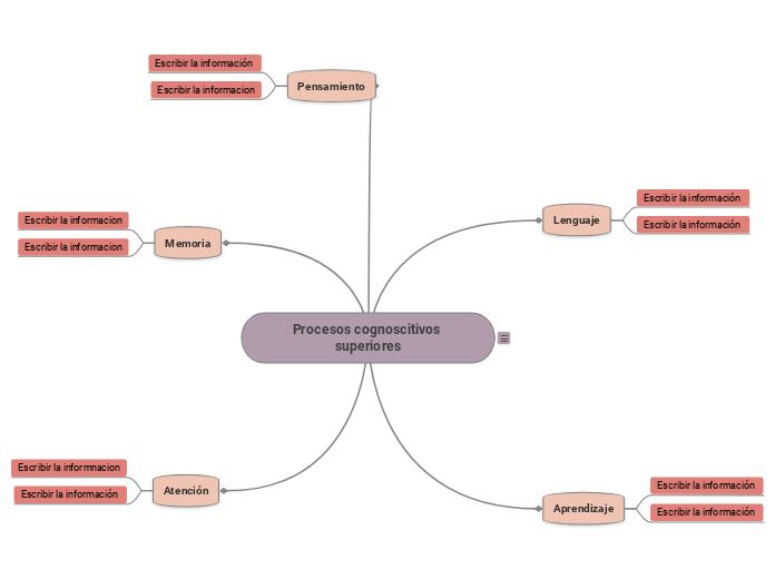 Procesos cognoscitivos superiores