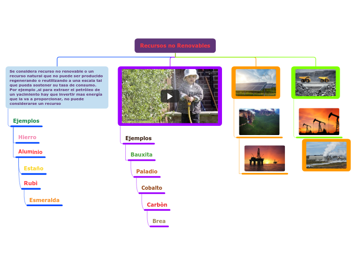 Organigrama arbol