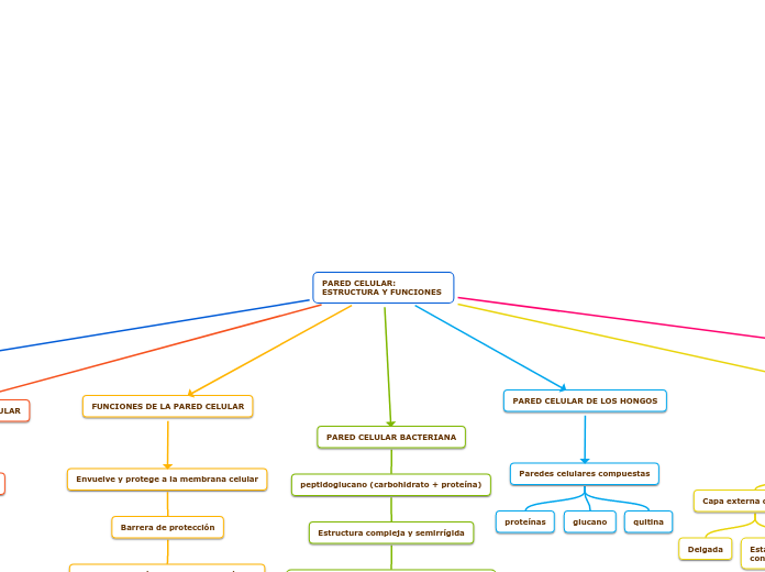 PARED CELULAR: ESTRUCTURA Y FUNCIONES