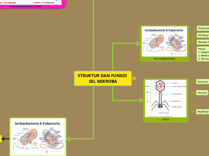 STRUKTUR DAN FUNGSI SEL MIKROBA