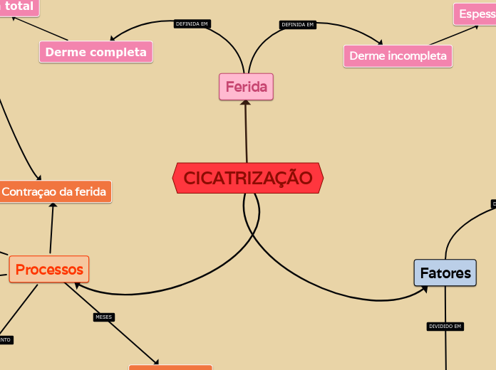 Cicatrização