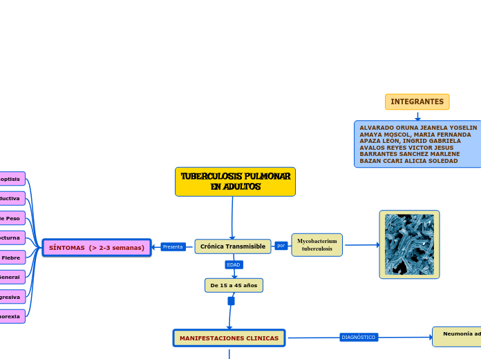 TUBERCULOSIS PULMONAR
EN ADULTOS