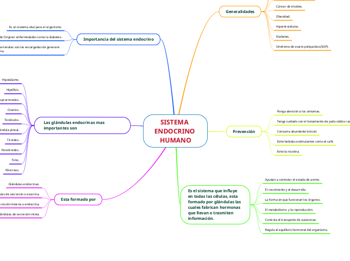 SISTEMA ENDOCRINO HUMANO