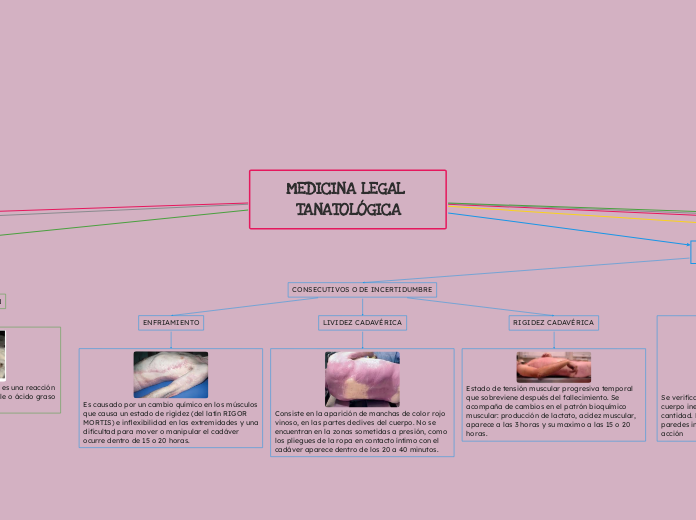 MEDICINA LEGAL TANATOLÓGICA