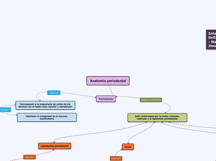 Anatomía periodontal