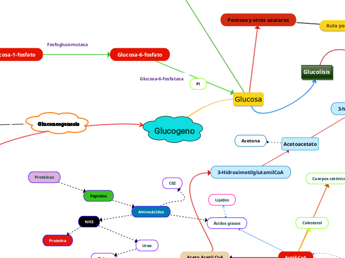 Integración al metabolismo