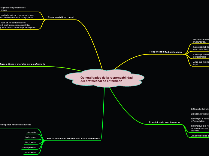Generalidades de la responsabilidad del profesional de enfermería