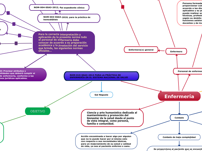 NOM-019-SSA3-2013 PARA LA PRÁCTICA DE ENFERMERÍA EN EL SISTEMA NACIONAL DE SALUD