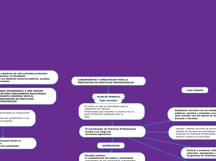 LINEAMIENTOS Y DIRECTRICES PARA LA PRESTACION DE PRACTICAS PROFESIONALES