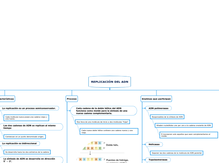 REPLICACIÓN DEL ADN