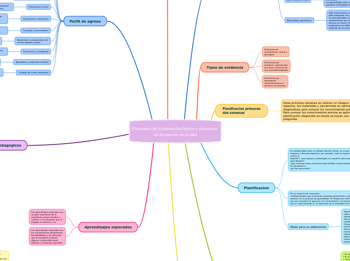 Elementos de la planeacion basica y elementos de formacion en el aula