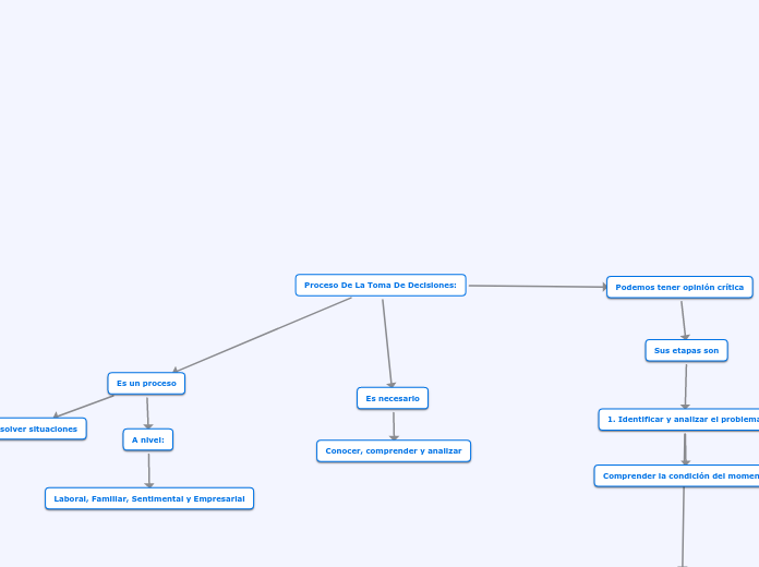 Proceso De La Toma De Decisiones: