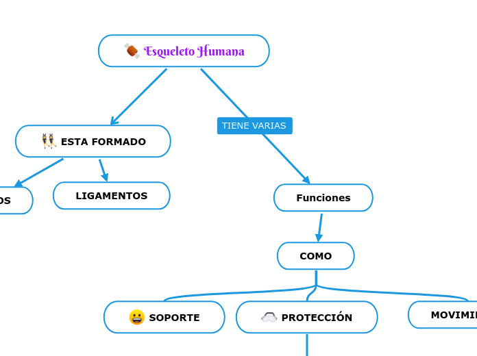 Esqueleto Humana