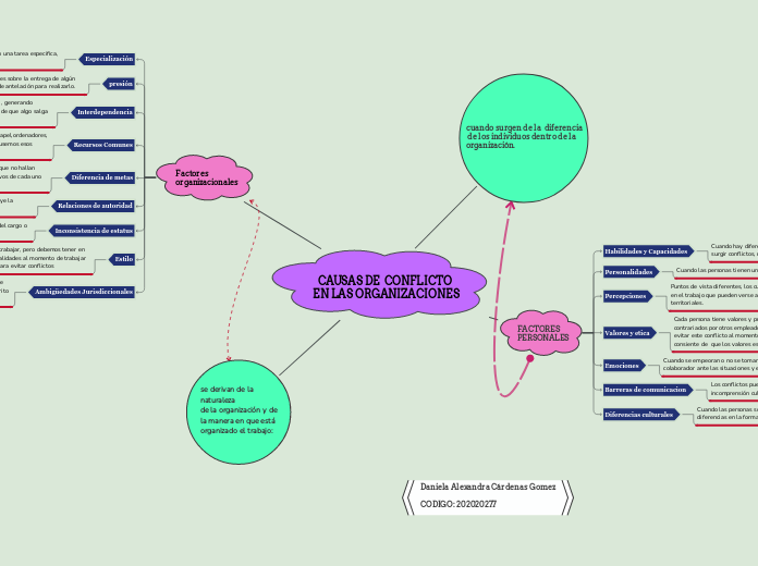 CAUSAS DE  CONFLICTO
 EN LAS ORGANIZACIONES