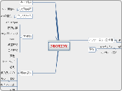 NEOTENY(ネオテニー)