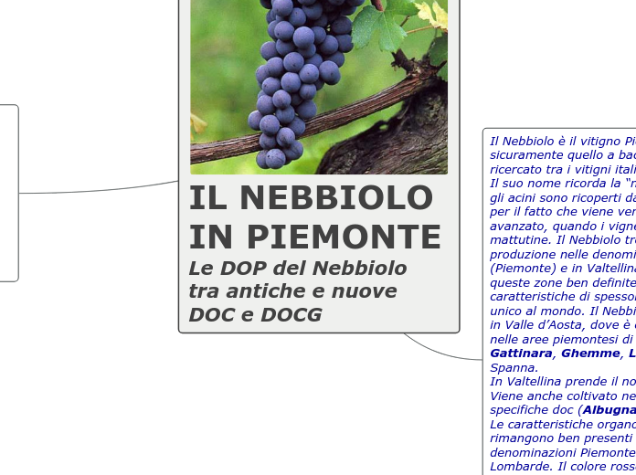 Il Nebbiolo in Piemonte