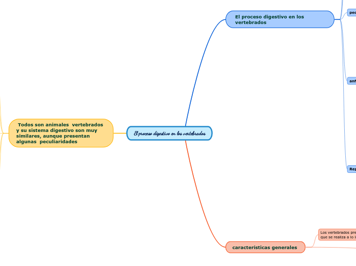 El proceso digestivo en los vertebrados