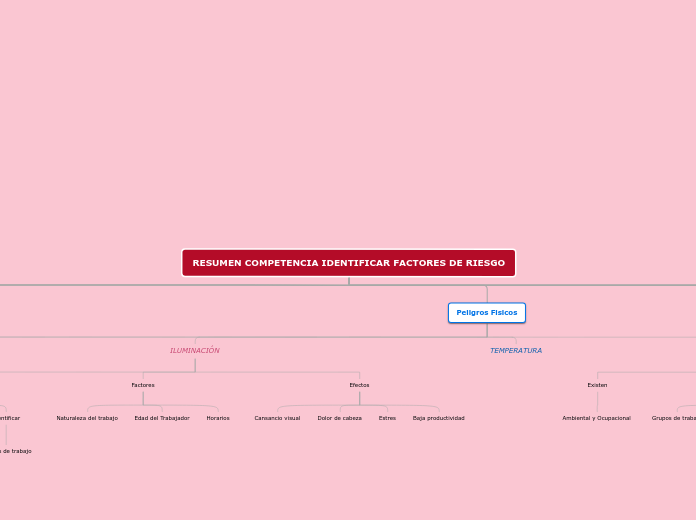 RESUMEN COMPETENCIA IDENTIFICAR FACTORES DE RIESGO