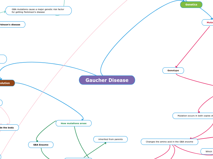 Gaucher Disease