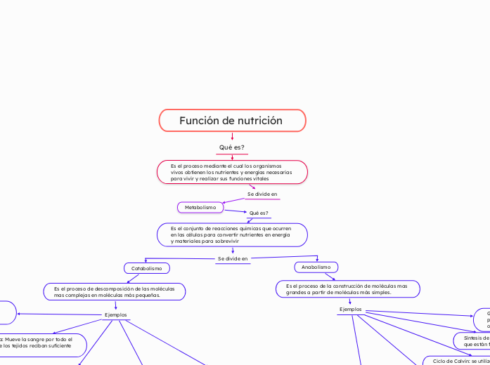 Función de nutrición 