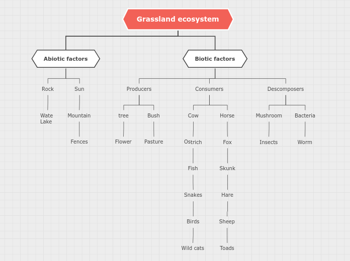 Organigrama