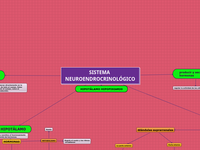 SISTEMA NEUROENDROCRINOLÓGICO