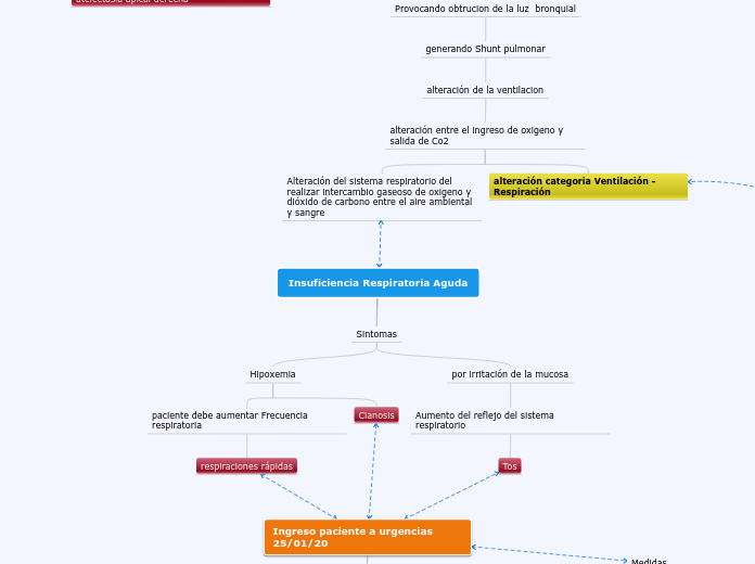 Insuficiencia Respiratoria Aguda