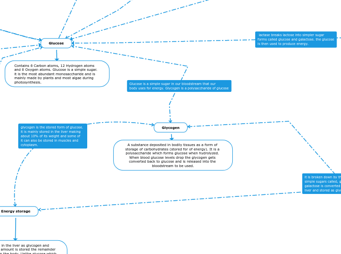 Assignment-Carbohydrates: Concept mapping carbohydrates