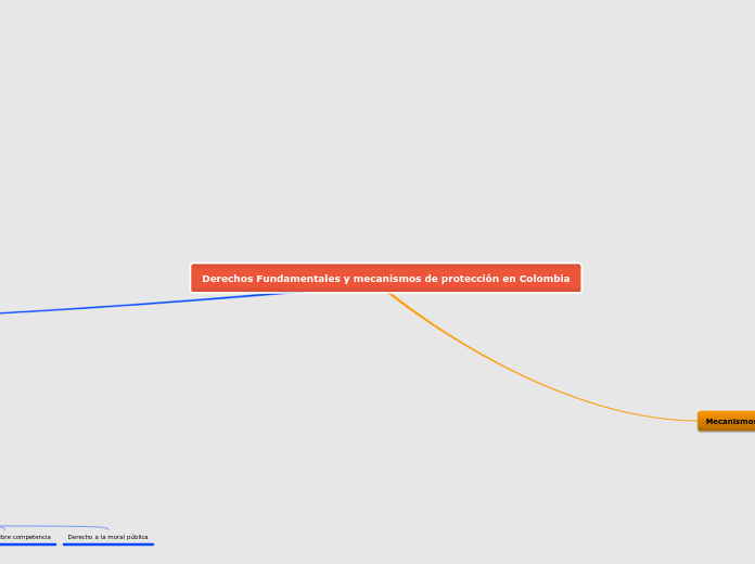 Derechos Fundamentales y mecanismos de protección en Colombia