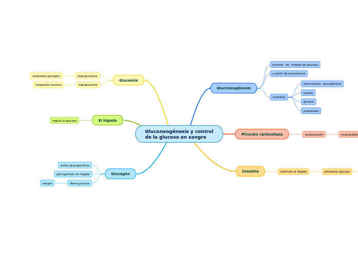 Gluconeogénesis y control
de la glucosa en sangre