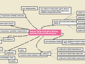 Sample Mind Map