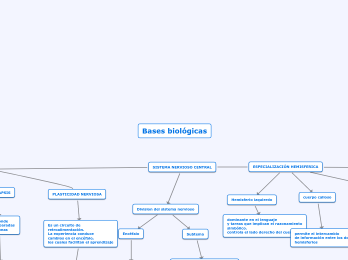 mapa conceptual 