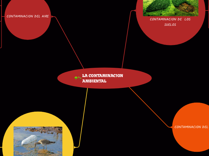 LA CONTAMINACION AMBIENTAL