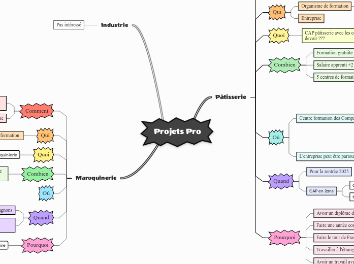 Projets Pro