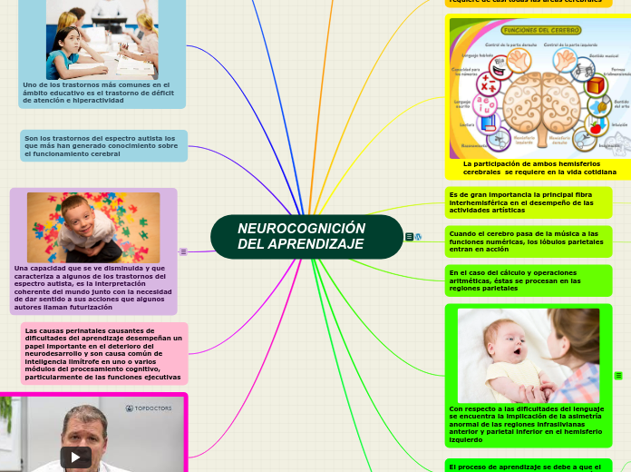 NEUROCOGNICIÓN DEL APRENDIZAJE