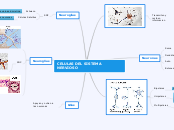 CELULAS DEL SISTEMA NERVIOSO