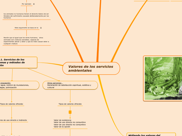 Valores de los servicios ambientales