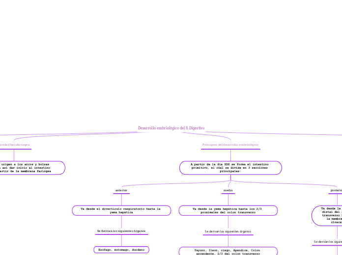 Desarrollo embriológico del S. Digestivo