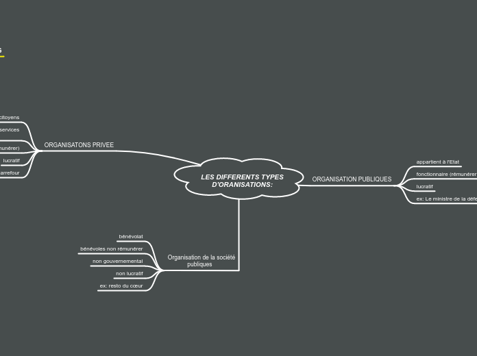 LES DIFFERENTS TYPES
D'ORANISATIONS: