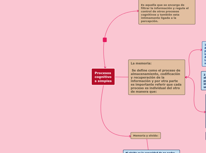 Procesos cognitivos simples