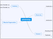 opthalmology