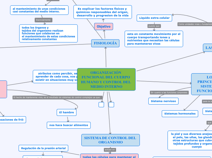 Mapa Conceptual Fisiología Humana