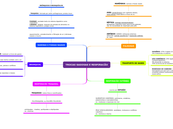 Organigrama