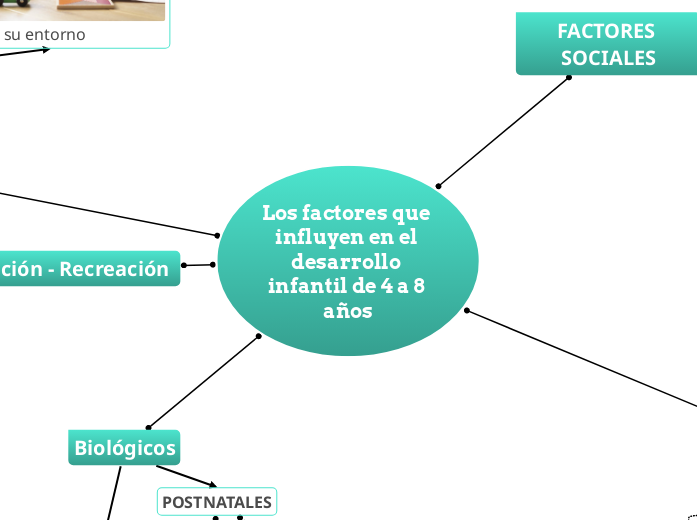 Los factores que influyen en el desarrollo infantil de 4 a 8 años