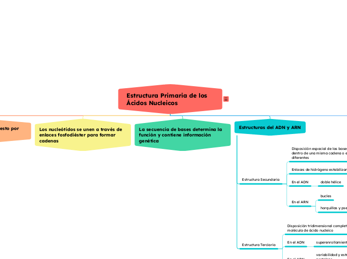 Estructura Primaria de los Ácidos Nucleicos