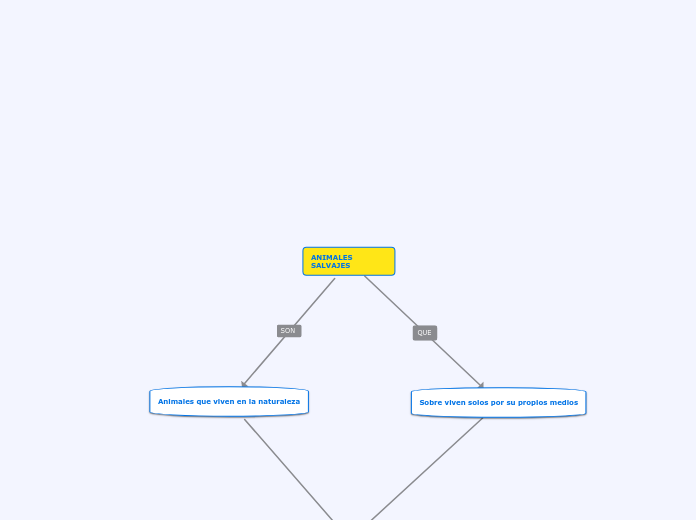 MAPA CONCEPTUAL