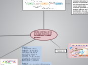 DOGMA CENTRAL DE LA BIOLOGÍA MOLECULAR