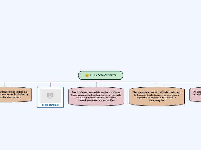 Organigrama arbol